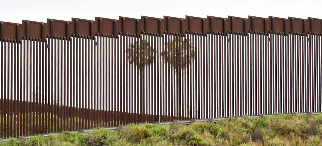 Amnistía Internacional pide reconocer a las mujeres buscadoras como defensoras de derechos humanos ante crisis de más de 132 mil desaparecidos (imagen adicional)