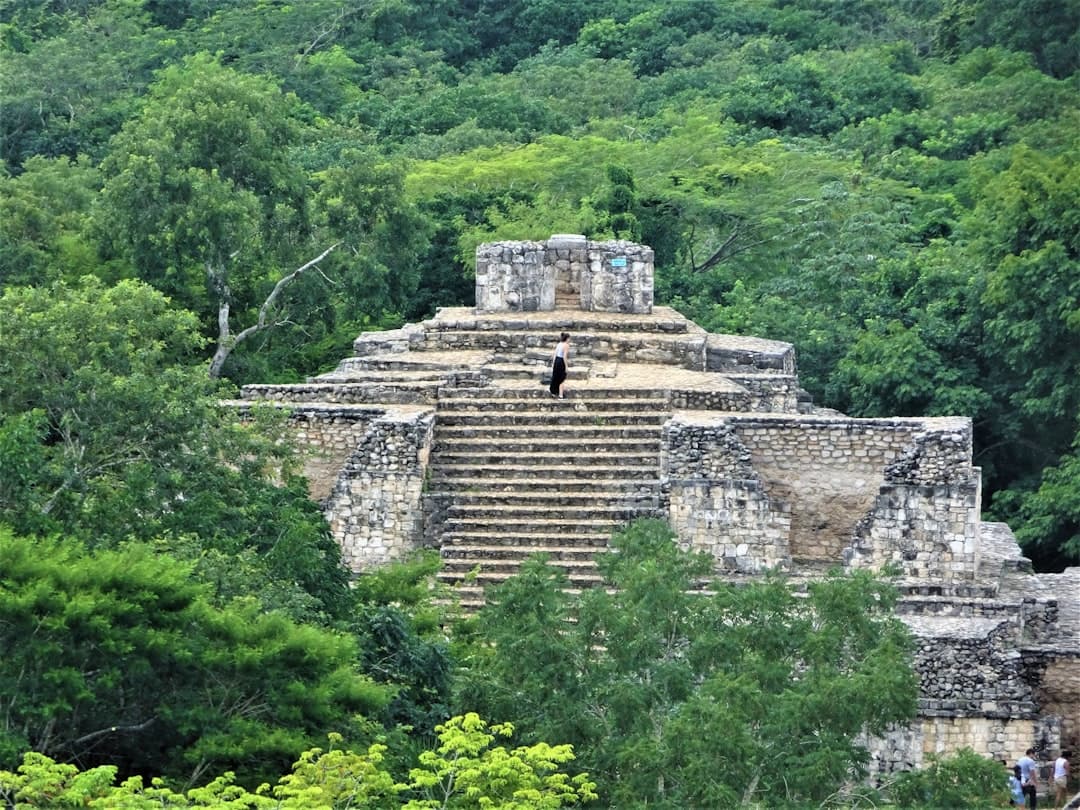Día Internacional de las Mujeres Indígenas: la brecha que persiste detrás del orgullo maya en Yucatán (imagen adicional)