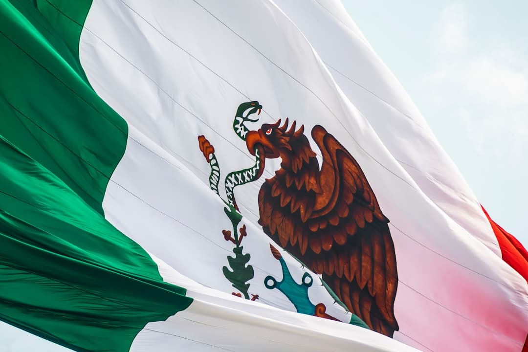 El Censo Nacional de Seguridad Pública 2026 revela la primera caída de efectivos en la Guardia Nacional desde su creación (imagen adicional)